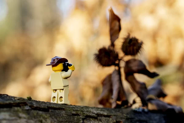 Le photographe. Série en nature avec les minifigures Lego.