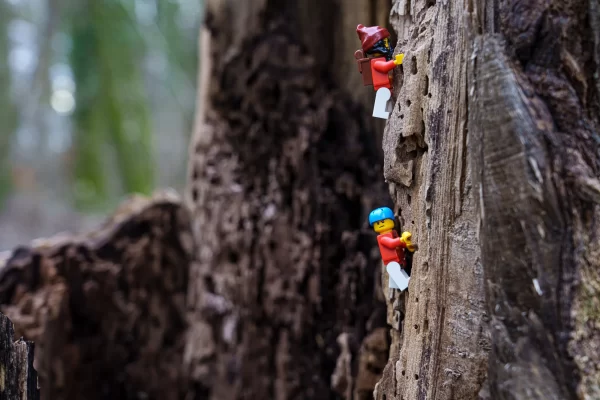 Série en nature avec les minifigures Lego.